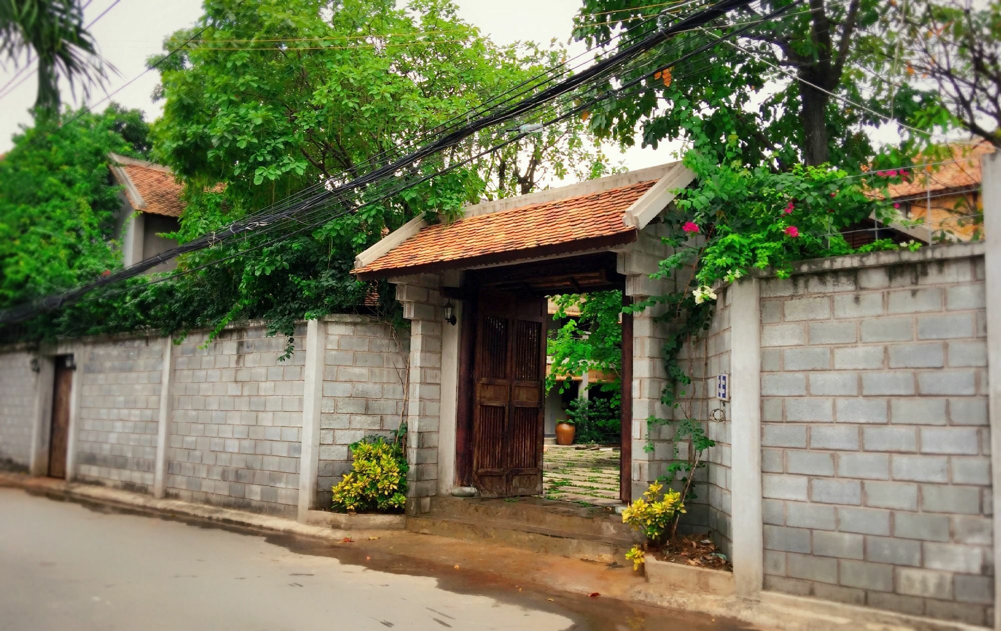 The An Homestay Thành Pho Ho Chí Minh Esterno foto